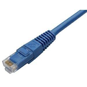 Black Box Cat6 550-mhz Snagless Stranded Ethernet Patch Cable - Unshielded (utp), Cm Pvc (