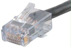 C2g Qs 100ft Cat6 Non Booted Cmp Blk