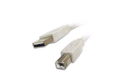 Add-on Addon 1.82m (6.00ft) Usb 2.0 (a) Male To Usb 2.0 (b) Male Black Cable