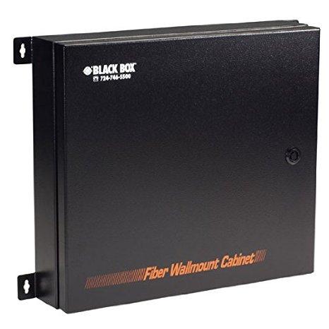 Black Box Nema-4 Rated Fiber Optic Wallmount Enclosure - 2-slot, Gsa, Taa