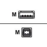 Digi International Digi 2 Meter A To B Usb Cable