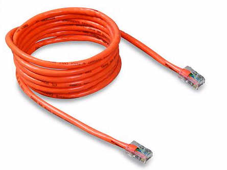 Belkin International Inc Patch Cable - Rj-45 - Male - Rj-45 - Male - 50 Feet - Orange