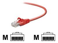 Belkin International Inc Cat Cbl Rj45m/rj45m 14 Red