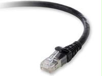 Belkin International Inc Patch Cable - Rj-45 - Male - 7 - Black